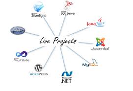 Best live project training in Pune